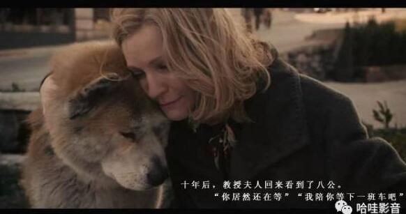 十大最感动的催泪电影 感人电影催泪的电影-很美的