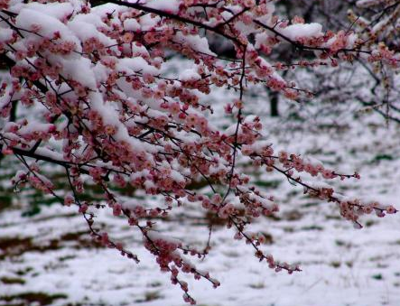 道德经中最唯美的句子-很美的