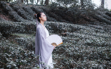 100首完整的最美古诗词-很美的