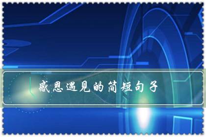 感恩遇见的简短句子(感谢遇见八字短句)