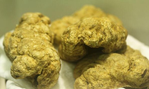 紫河车的功效与作用 后悔吃了紫河车