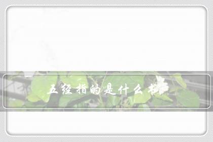 五经指的是什么书（读完四书五经相当于大学文化）