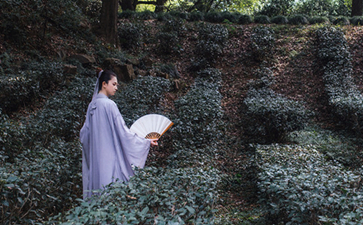 100首完整的最美古诗词