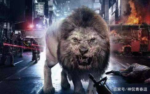 猛兽眼中的人类可怕吗