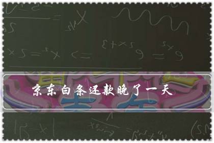 京东白条还款晚了一天（白条晚了一天会上征信吗）