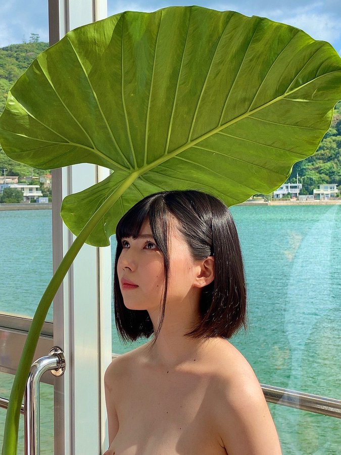 日野莉子(日野りこ）个人资料及品番作品推荐预览-很美的