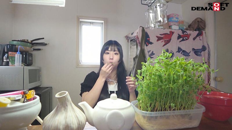 六华ノア（六华乃爱）最新作品SDAM-125介绍及封面预览